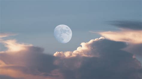 Daytime Moon .